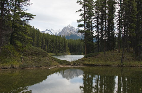 Moose Lake / Jasper