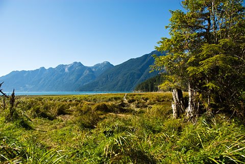 Bute Inlet