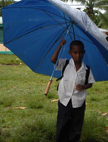 Rain, nothing but rain at Tortuguero