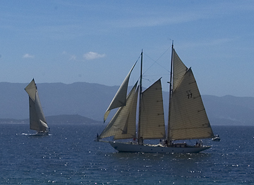 Vintage Sailboat regatta at Ajaccio