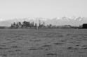 _DSC1440