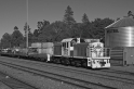 _DSC1442