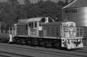 _DSC1444