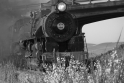 _DSC1570