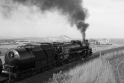 _DSC1607