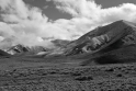 _DSC2475