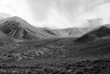 _DSC2478
