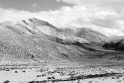 _DSC2484