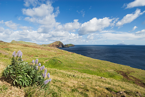 Ponta de São Lourenço