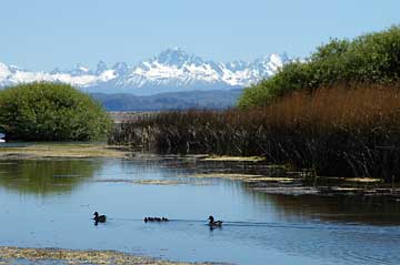 Lago Buenos Aires, looking west towards Chile